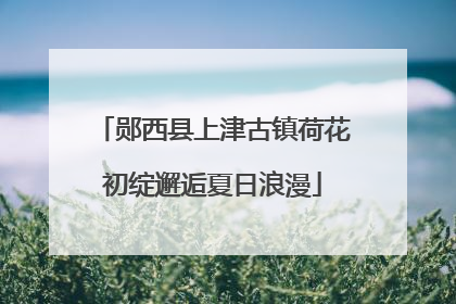 郧西县上津古镇荷花初绽邂逅夏日浪漫