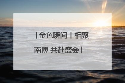 金色瞬间丨相聚南博 共赴盛会