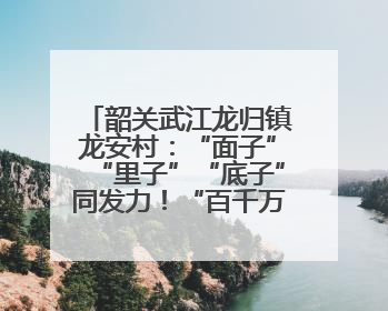 韶关武江龙归镇龙安村：“面子”“里子”“底子”同发力！“百千万工程”激活乡村新动能