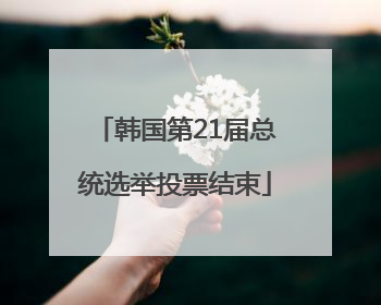 韩国第21届总统选举投票结束