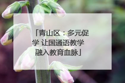 青山区：多元促学 让国通语教学融入教育血脉