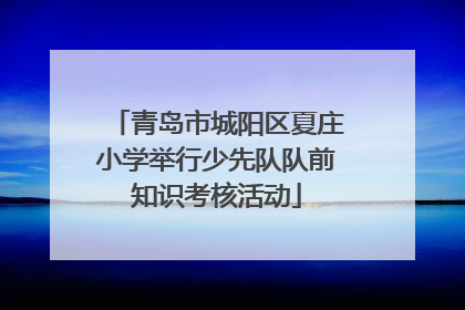 青岛市城阳区夏庄小学举行少先队队前知识考核活动
