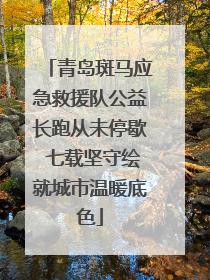 青岛斑马应急救援队公益长跑从未停歇 七载坚守绘就城市温暖底色
