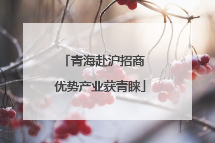 青海赴沪招商 优势产业获青睐