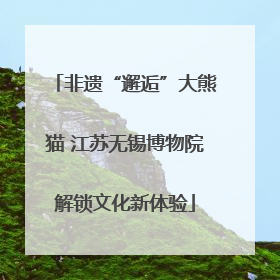 非遗“邂逅”大熊猫 江苏无锡博物院解锁文化新体验
