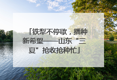 铁犁不停歇，播种新希望——山东“三夏”抢收抢种忙