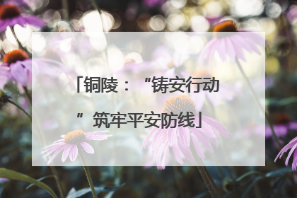 铜陵：“铸安行动”筑牢平安防线