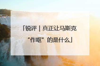 锐评｜真正让马斯克“作呕”的是什么