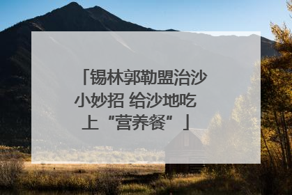 锡林郭勒盟治沙小妙招 给沙地吃上“营养餐”