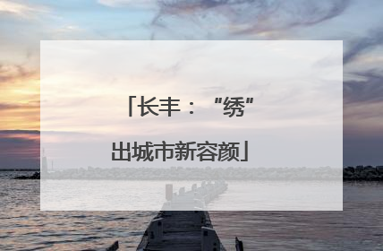 长丰：“绣”出城市新容颜