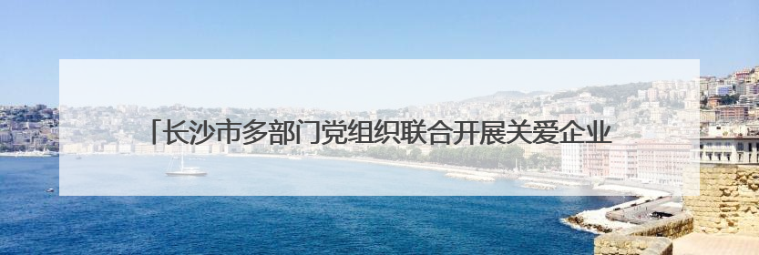 长沙市多部门党组织联合开展关爱企业残疾员工主题党日暨助残日特别活动