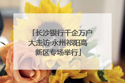 长沙银行千企万户大走访·永州祁阳高新区专场举行