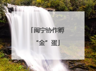 闽宁协作孵“金”蛋