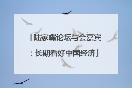 陆家嘴论坛与会嘉宾：长期看好中国经济