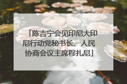 陈吉宁会见印尼大印尼行动党秘书长、人民协商会议主席穆扎尼