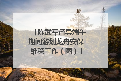 陈武军督导端午期间游划龙舟安保维稳工作（图）