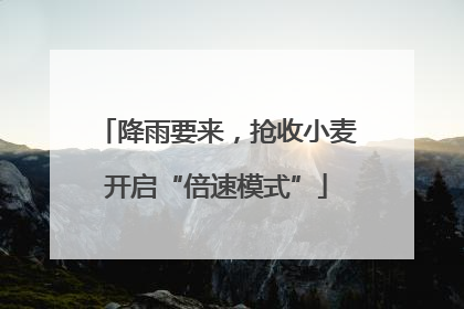 降雨要来，抢收小麦开启“倍速模式”