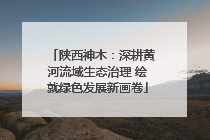 陕西神木：深耕黄河流域生态治理 绘就绿色发展新画卷