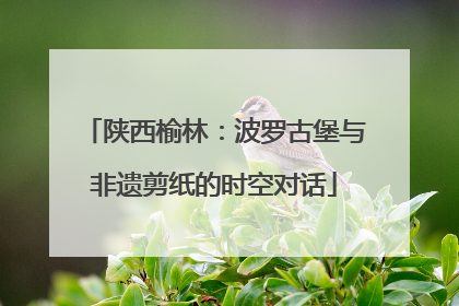 陕西榆林：波罗古堡与非遗剪纸的时空对话