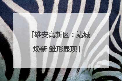 雄安高新区：站城焕新 雏形显现