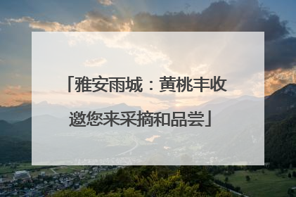 雅安雨城：黄桃丰收 邀您来采摘和品尝