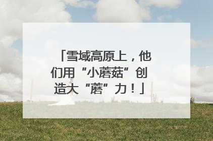 雪域高原上，他们用“小蘑菇”创造大“蘑”力！