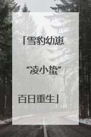 雪豹幼崽“凌小蛰”百日重生