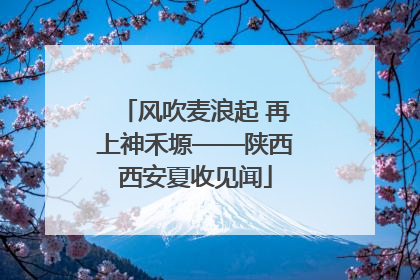 风吹麦浪起 再上神禾塬——陕西西安夏收见闻