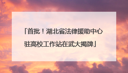首批！湖北省法律援助中心驻高校工作站在武大揭牌