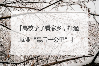 高校学子看家乡，打通就业“最后一公里”