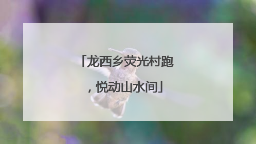 龙西乡荧光村跑，悦动山水间