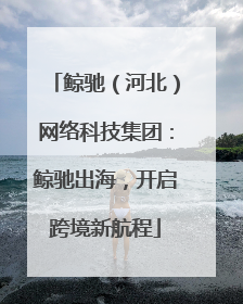 鲸驰（河北）网络科技集团：鲸驰出海，开启跨境新航程