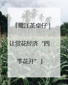 鹭江茶桌仔｜让赏花经济“四季花开”