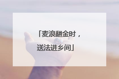 麦浪翻金时，送法进乡间