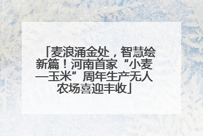 麦浪涌金处，智慧绘新篇！河南首家“小麦—玉米”周年生产无人农场喜迎丰收