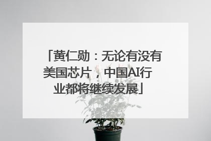 黄仁勋：无论有没有美国芯片，中国AI行业都将继续发展