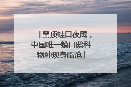 黑顶蛙口夜鹰，中国唯一蟆口鸱科物种现身临沧
