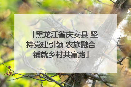 黑龙江省庆安县 坚持党建引领 农旅融合铺就乡村共富路