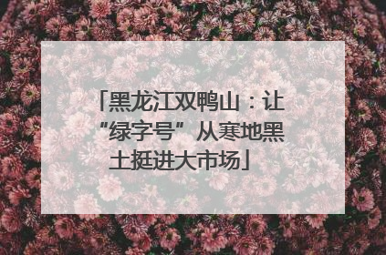 黑龙江双鸭山：让“绿字号”从寒地黑土挺进大市场