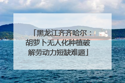 黑龙江齐齐哈尔：胡萝卜无人化种植破解劳动力短缺难题