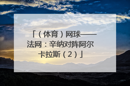 （体育）网球——法网：辛纳对阵阿尔卡拉斯（2）