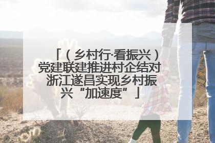 （乡村行·看振兴）党建联建推进村企结对 浙江遂昌实现乡村振兴“加速度”