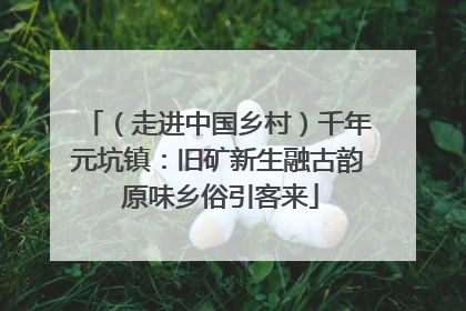 （走进中国乡村）千年元坑镇：旧矿新生融古韵 原味乡俗引客来