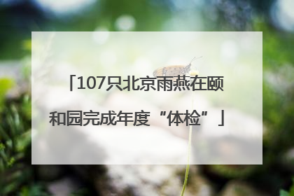 107只北京雨燕在颐和园完成年度“体检”