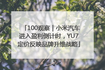 100观察｜小米汽车进入盈利倒计时，YU7定价反映品牌升维战略