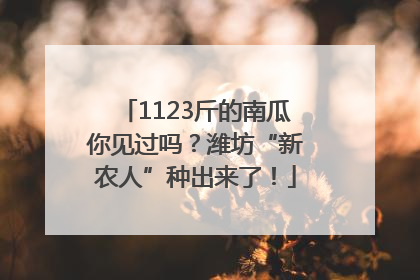 1123斤的南瓜你见过吗？潍坊“新农人”种出来了！