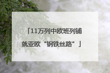 11万列中欧班列铺就亚欧“钢铁丝路”
