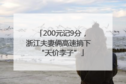 200元记9分，浙江夫妻俩高速摘下“天价李子”