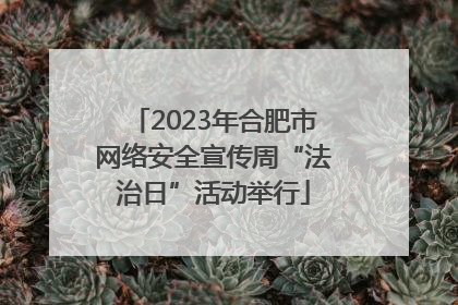 2023年合肥市网络安全宣传周“法治日”活动举行