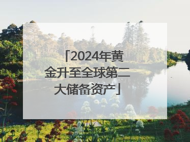 2024年黄金升至全球第二大储备资产